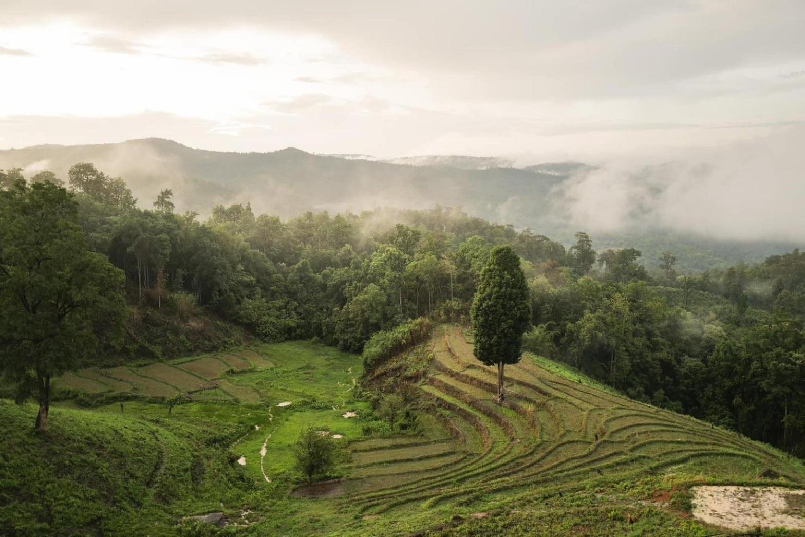 3Pok Villa Mountain แม่วาง ภายนอก รูปภาพ